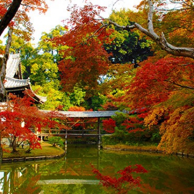 【東海道新幹線で行く秋の京都！ ～高台寺早朝貸切拝観でゆったり紅葉を愉しむ～ 】